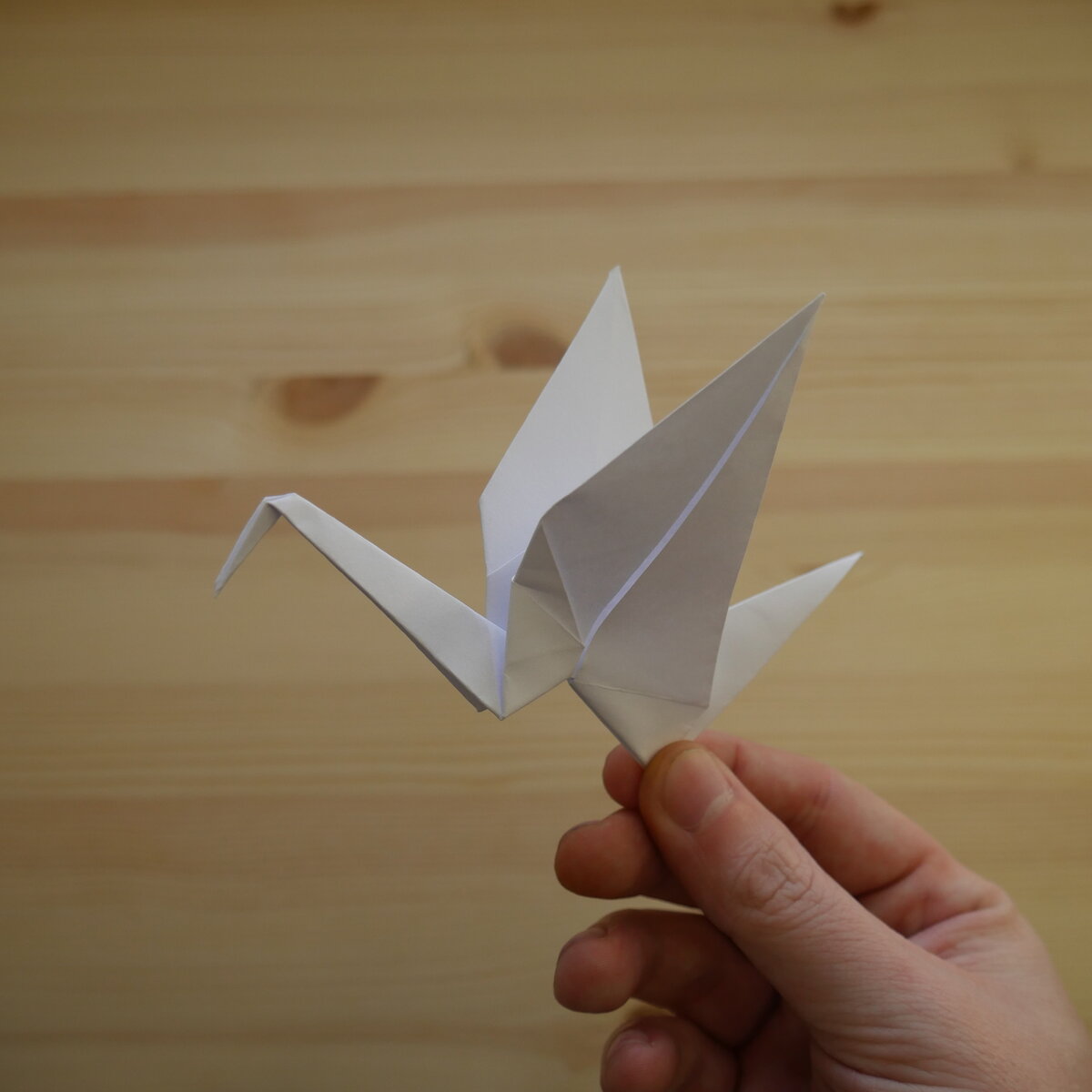 Hello Origami