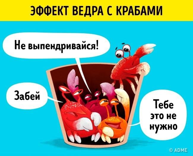 источник https://www.adme.ru/