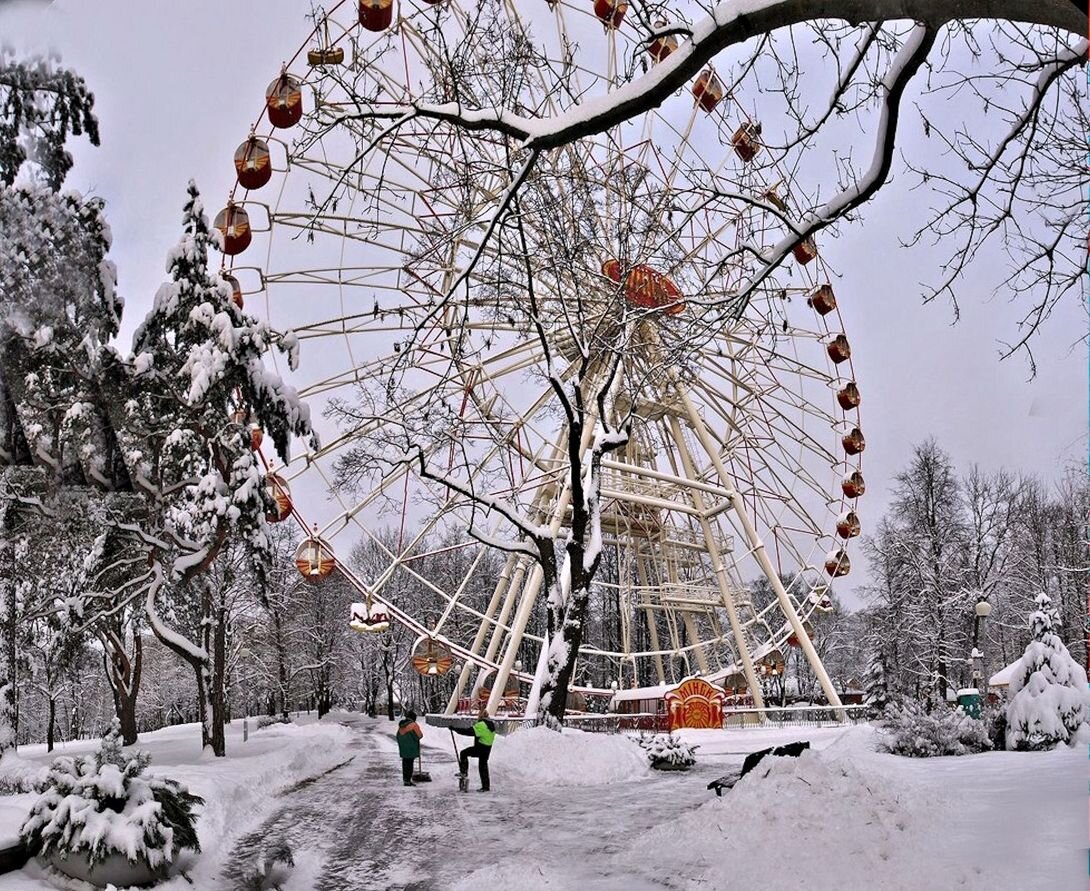 парк харинка зимой