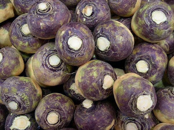 https://upload.wikimedia.org/wikipedia/commons/3/3a/Swede_-_rutabaga_-_veggiegroup.jpg