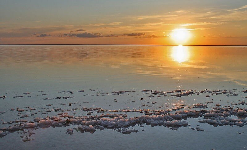 Автор фото Станислав Шинкаренко, https://en.wikipedia.org/wiki/en:Creative_Commons