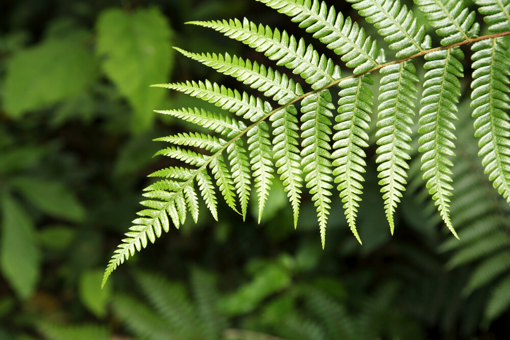 фото: https://mediamag.am/wp-content/uploads/2017/07/8060bad371f8f834dd800283fb0673fd.jpg?3c998c&3c998c