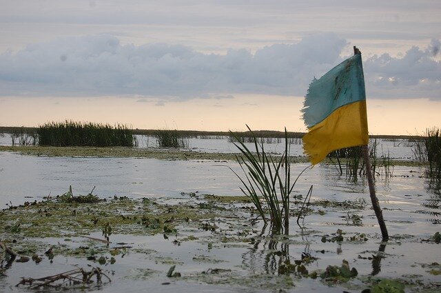 Украинский флаг