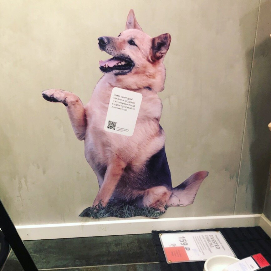 Лис Тима в Московской Икеа Химки