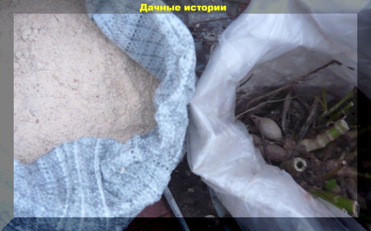 https://vk.com/photo-159774511_457242579
