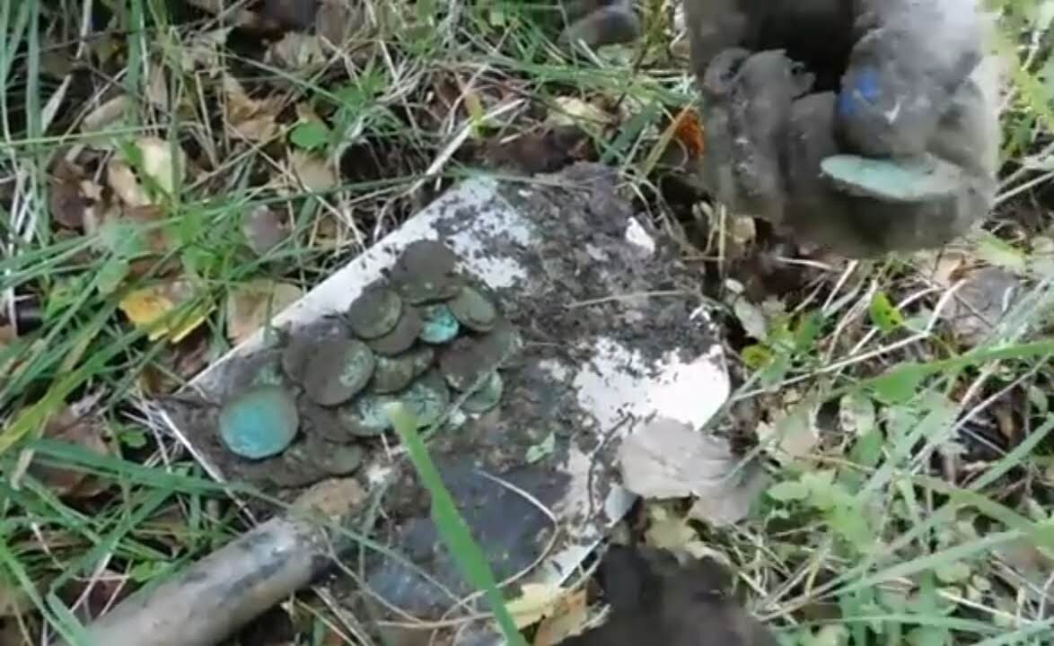 Случайно нашел монету. Ищут старинные монеты и сажают капусту