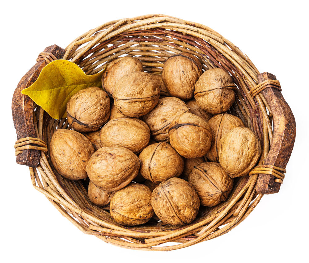 Яндекс картинки