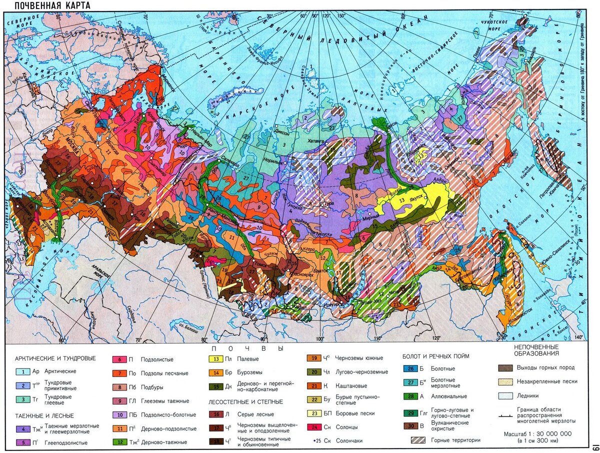 Почвенная карта. Атлас география России 8-9 класс, издательство Омск. 