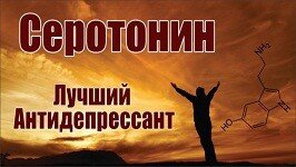 Всем привет! Пожалуй, самый популярный, самый известный нейромедиатор в человеческом организме – Серотонин. Он больше известен как гормон счастья. Между тем, серотонин регулирует множество процессов по всему телу.