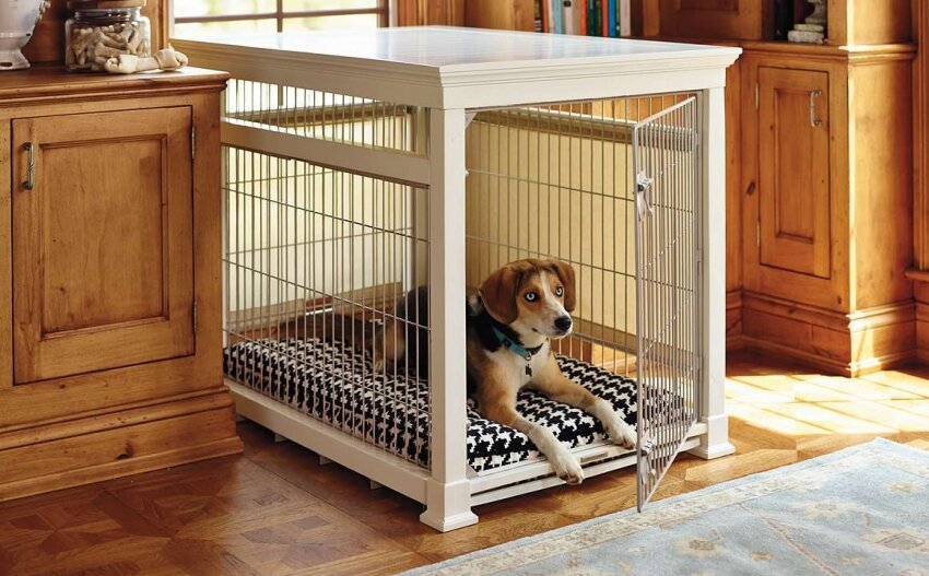  Фото взято из открытого источника Яндекс.картинки