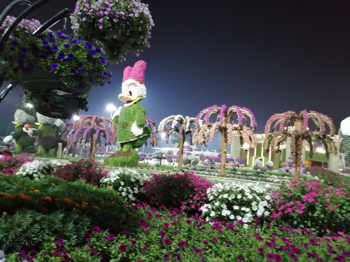 Парк цветов Dubai Miracle Garden