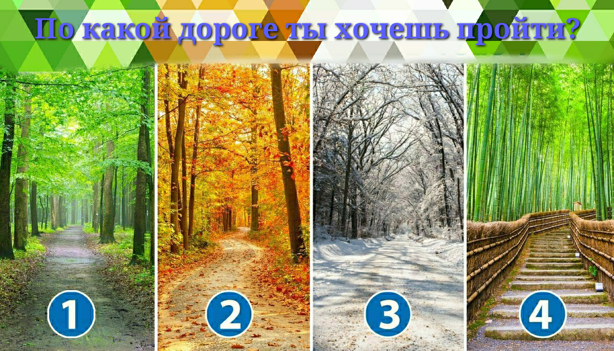 Тест по какой дороге ты хочешь пройти