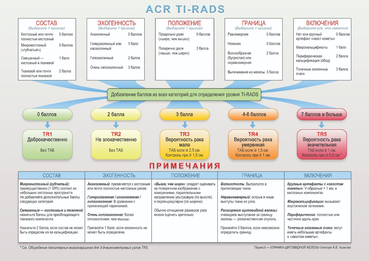 Tirads2 щитовидной железы что такое. Классификация Tirads щитовидная железа по УЗИ. Ti rads 4 щитовидка что это. Классификация тирадс щитовидной железы УЗИ таблица. Тирадс классификация узлов щитовидной железы.