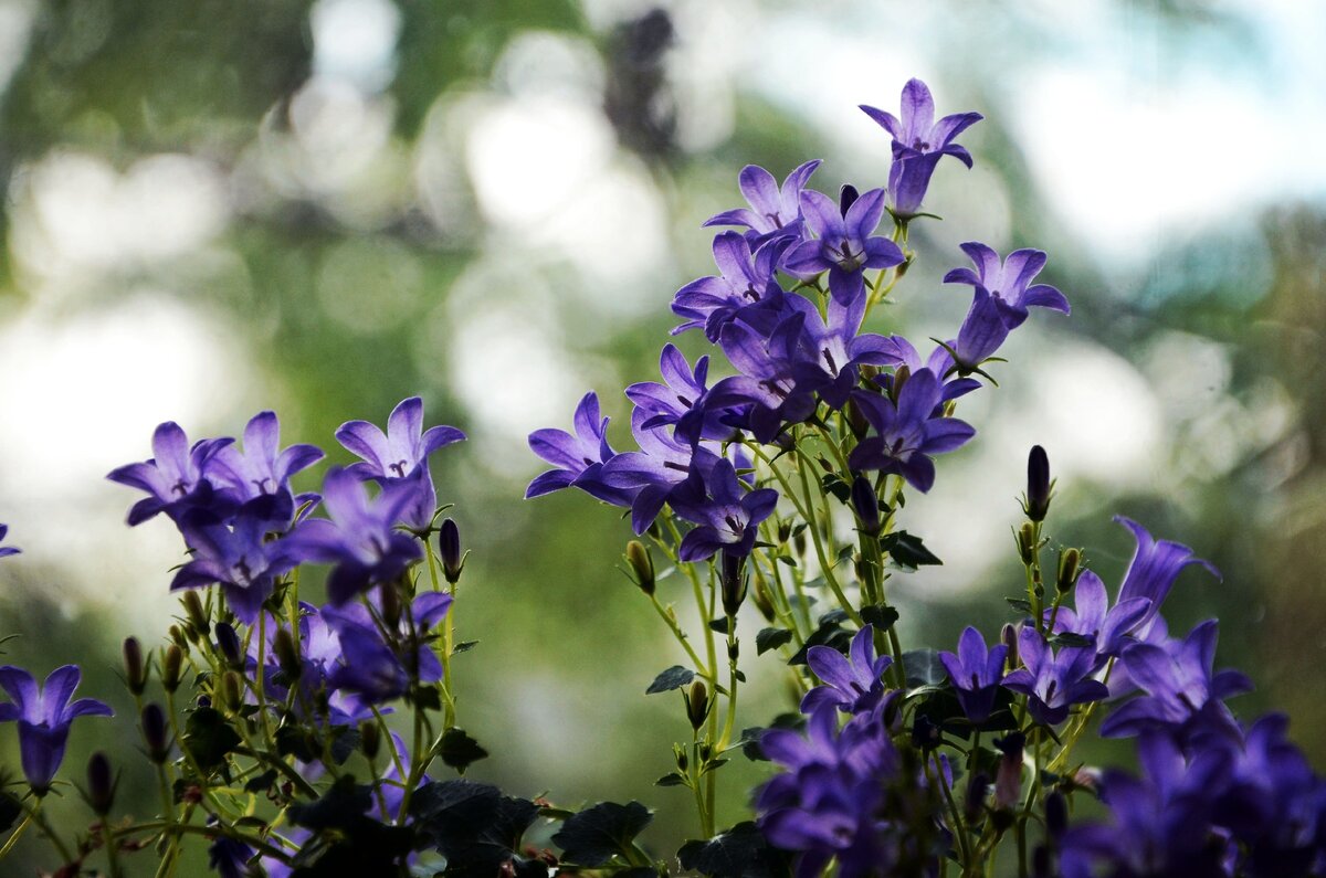 Фото для хорошего настроения из личного архива автора