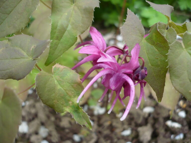 Такая разная горянка... Листайте по стрелочке дальше.