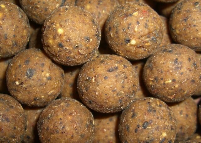 приготовленные дома бойлы содержат больше полезных и привлекающих компонентов для ловли рыбы, чем покупные 