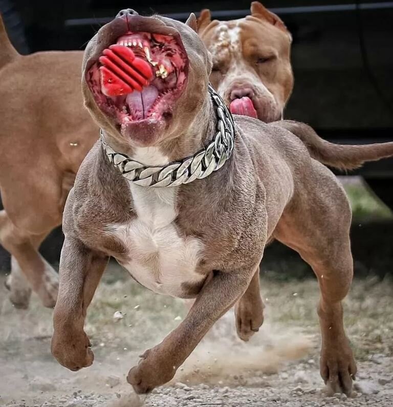 Изображение взято с превью www.youtube.com