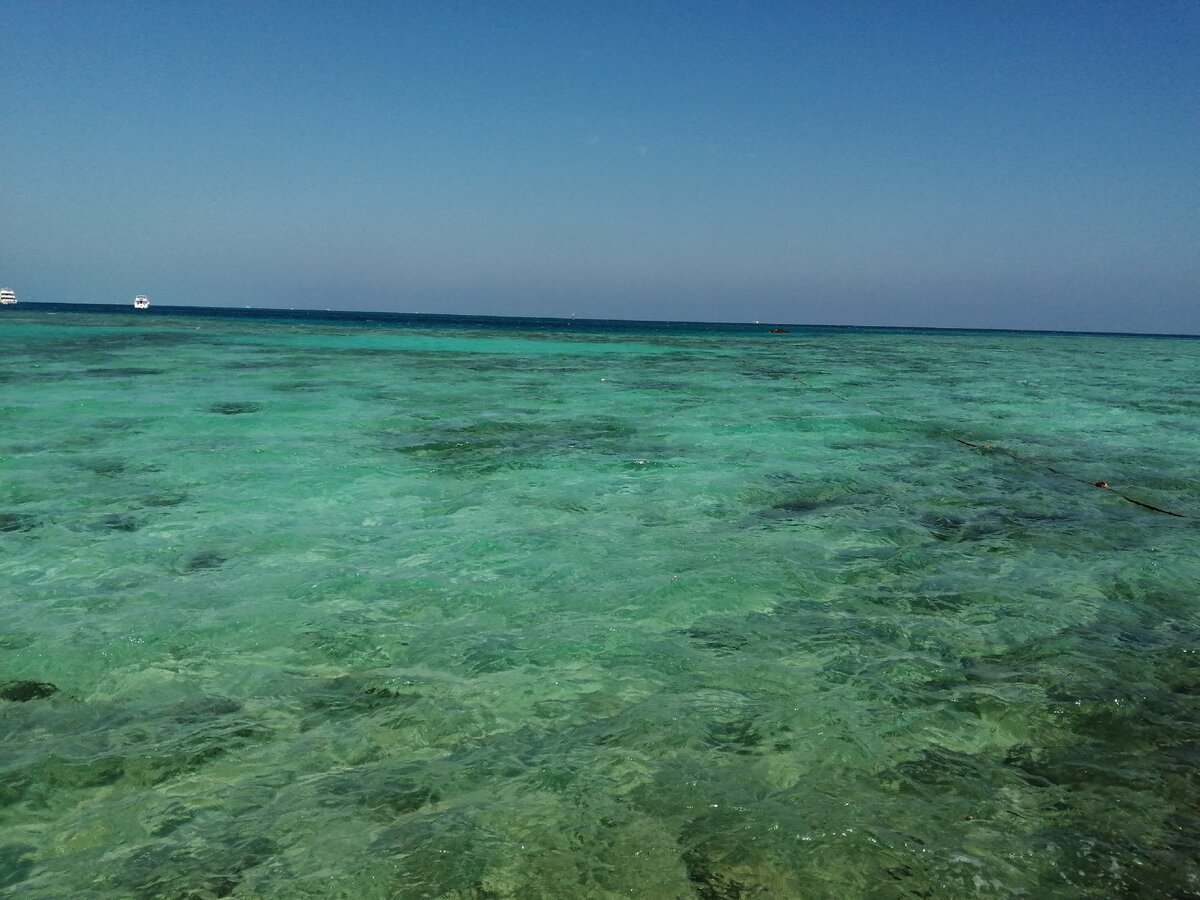 Красное море, моё фото с отдыха.