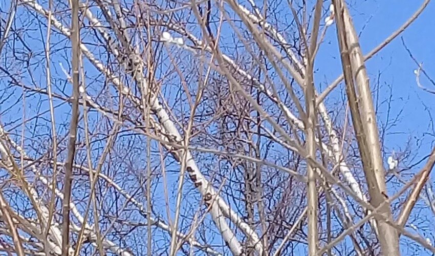 Фото: очевидец