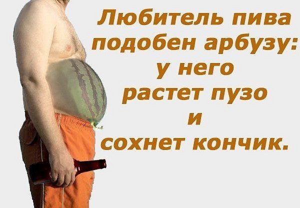 Ист. Яндекс