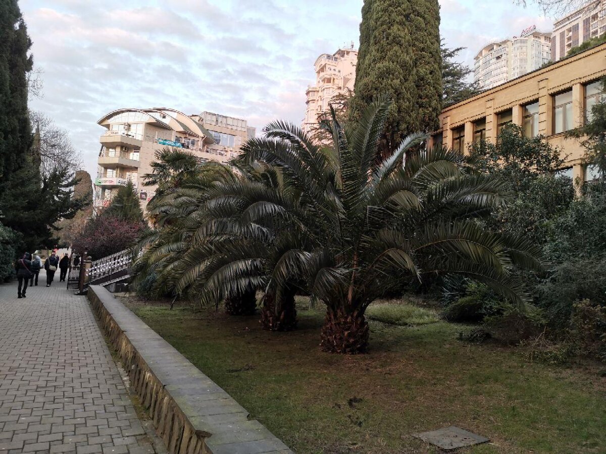 Кстати, эта фотография сделана в феврале :)