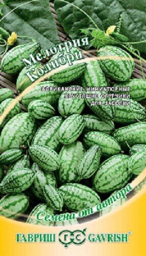 Примерно такие семена были у меня. Но это не точно :-)