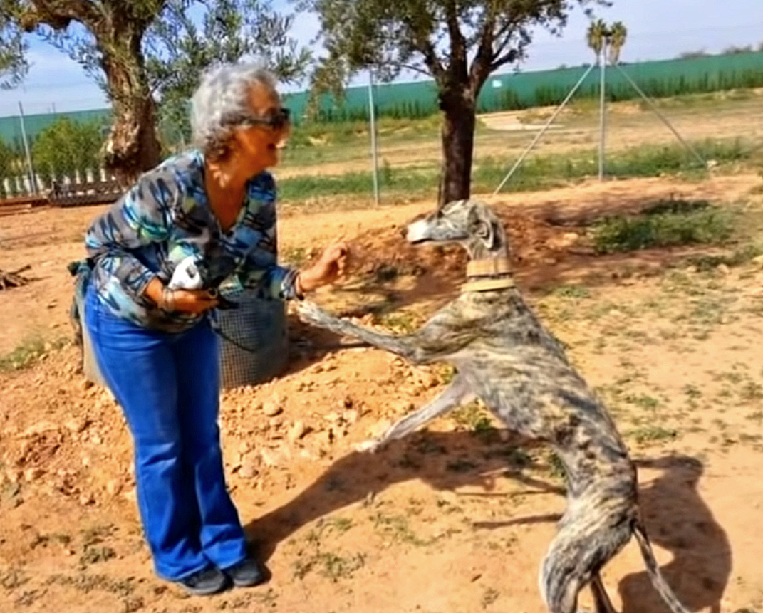 Редактировать галерею
