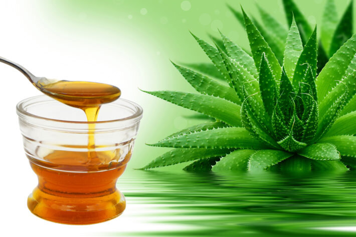 Алоэ с медом помогает при лечении многих заболеваний