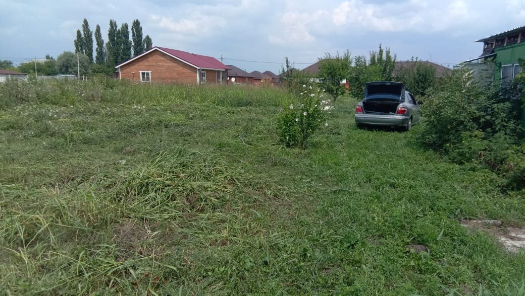 Вот таким от предстал перед нами. 