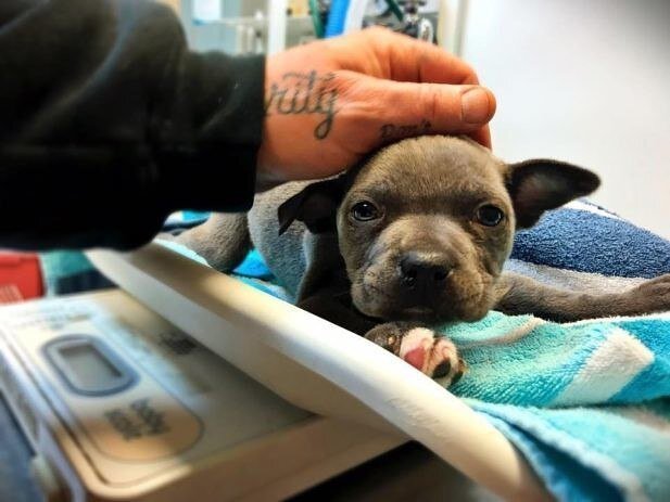 Фотография волонтеров.