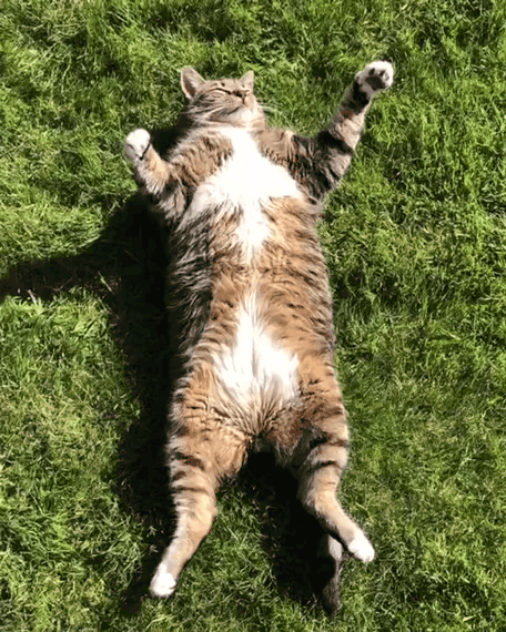 Нажми на картинку, чтобы посмотреть видео. Источник: Ютуб.