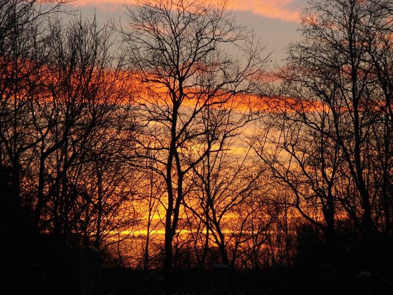 Над речкой медведицей догорает ранняя вечерняя заря.