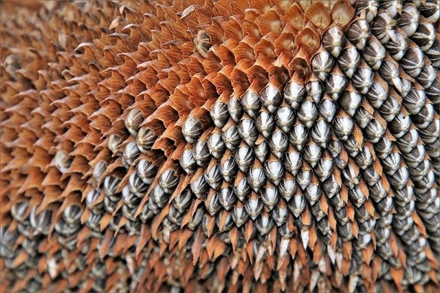 Источник фото: pixabay.com 