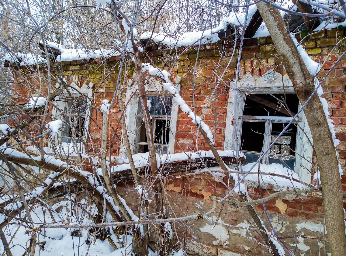 Звериные следы в заброшенном доме, который мы нашли в одной глухой деревне  | Прекрасное рядом | Дзен