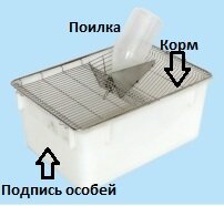 Клетка для содержания лабораторных мышей и крыс