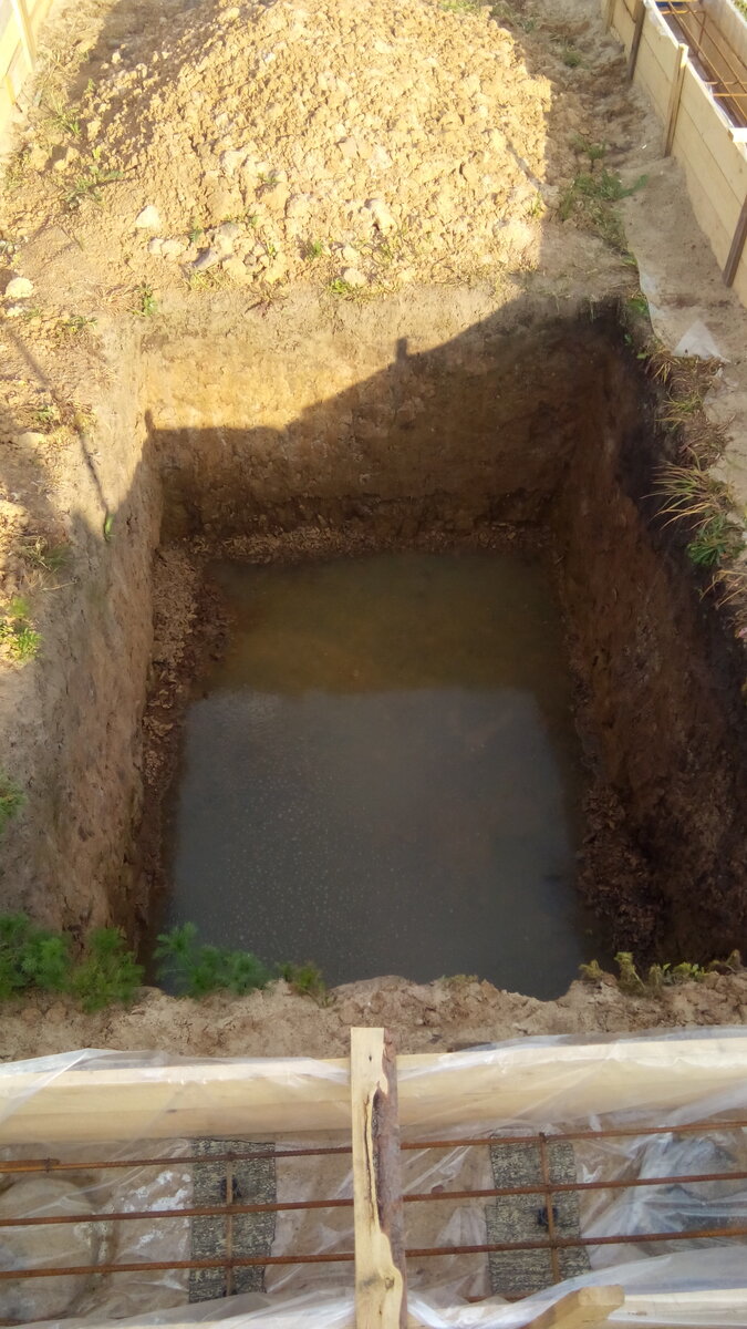 Так бывало после дождя. Фото автора