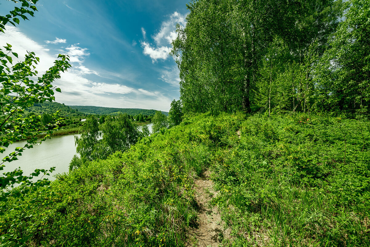 Пейзаж с вершины и мы почти пришли. Вот у той березки, что чуть правее центра, как раз вход (entrance) в разлом.