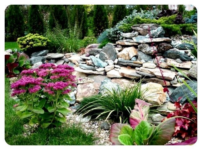 Виды каменистых садов (альпийская горка)