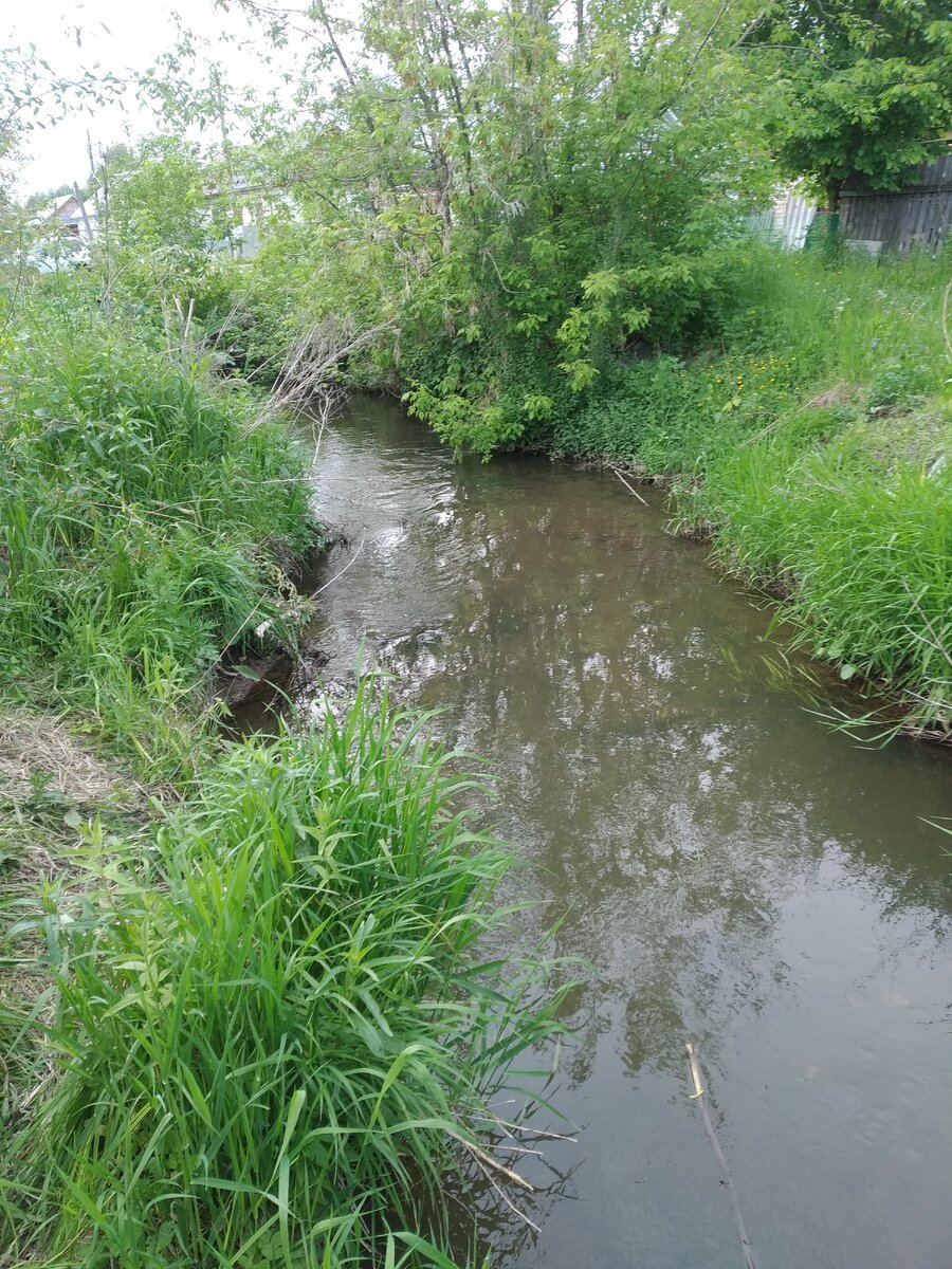 Место "рыбалки"