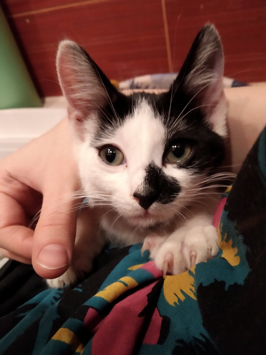 Марсик около 3-ёх месяцев.