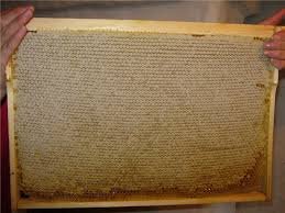 Рамка с медом