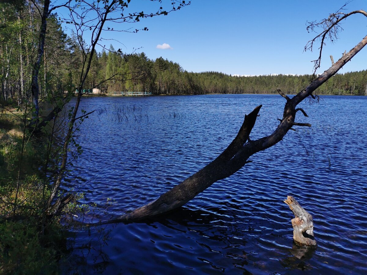 Озеро Лебяжье экотропа Вярямянселькя