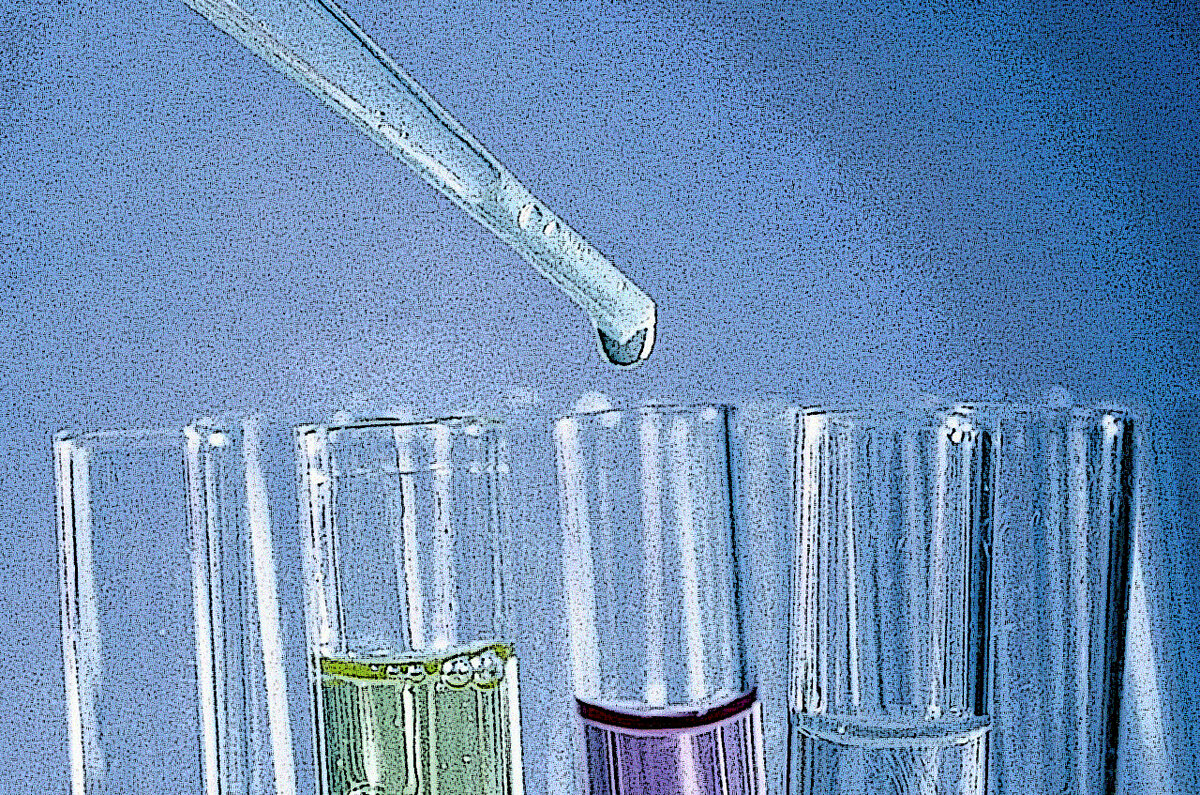 Фото: pixabay.com