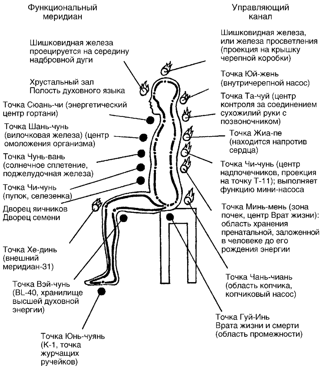 Иллюстрация 2 - циркуляция энергий в теле человека