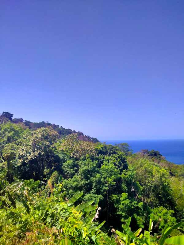 Дорога к пляжу Нуи (фото из личного архива автора) Листай➡️