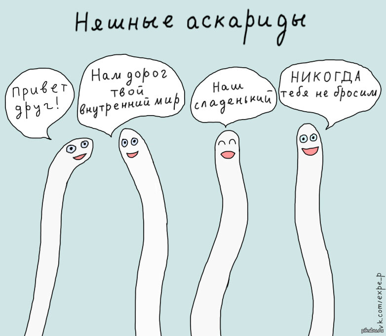 Фото Яндекс.Картинки