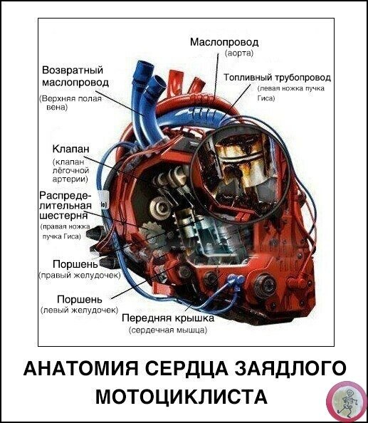 Фотка с его страницы в вк