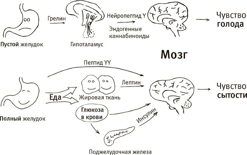 Не обожрись.