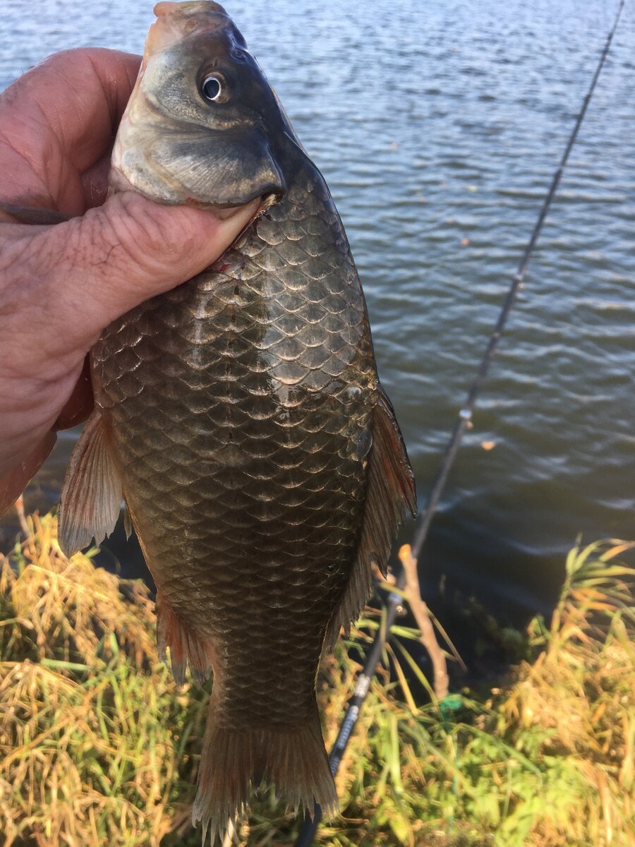 Фото автора. 