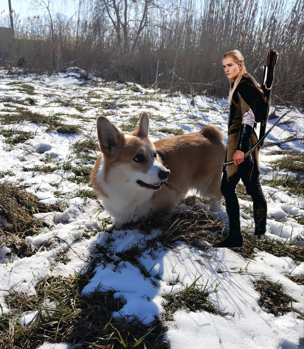 Havo dad, Legolas